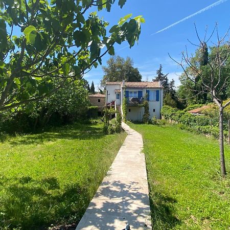 Petite Maison De Charme - Le Jardin Secret D'Alice Roquebrune-sur Argens Bagian luar foto