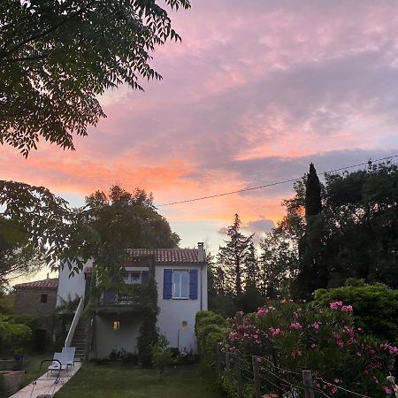 Petite Maison De Charme - Le Jardin Secret D'Alice Roquebrune-sur Argens Bagian luar foto