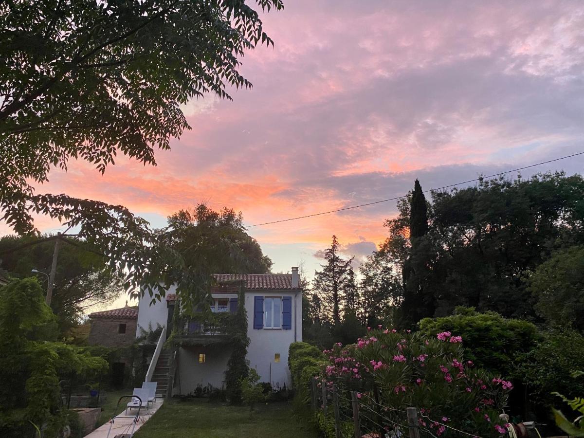 Petite Maison De Charme - Le Jardin Secret D'Alice Roquebrune-sur Argens Bagian luar foto